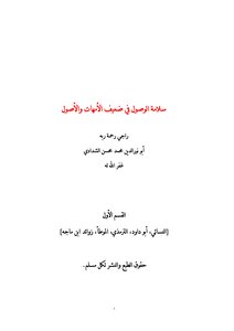 Safety Of Access In Weak Mothers And Assets - Section I